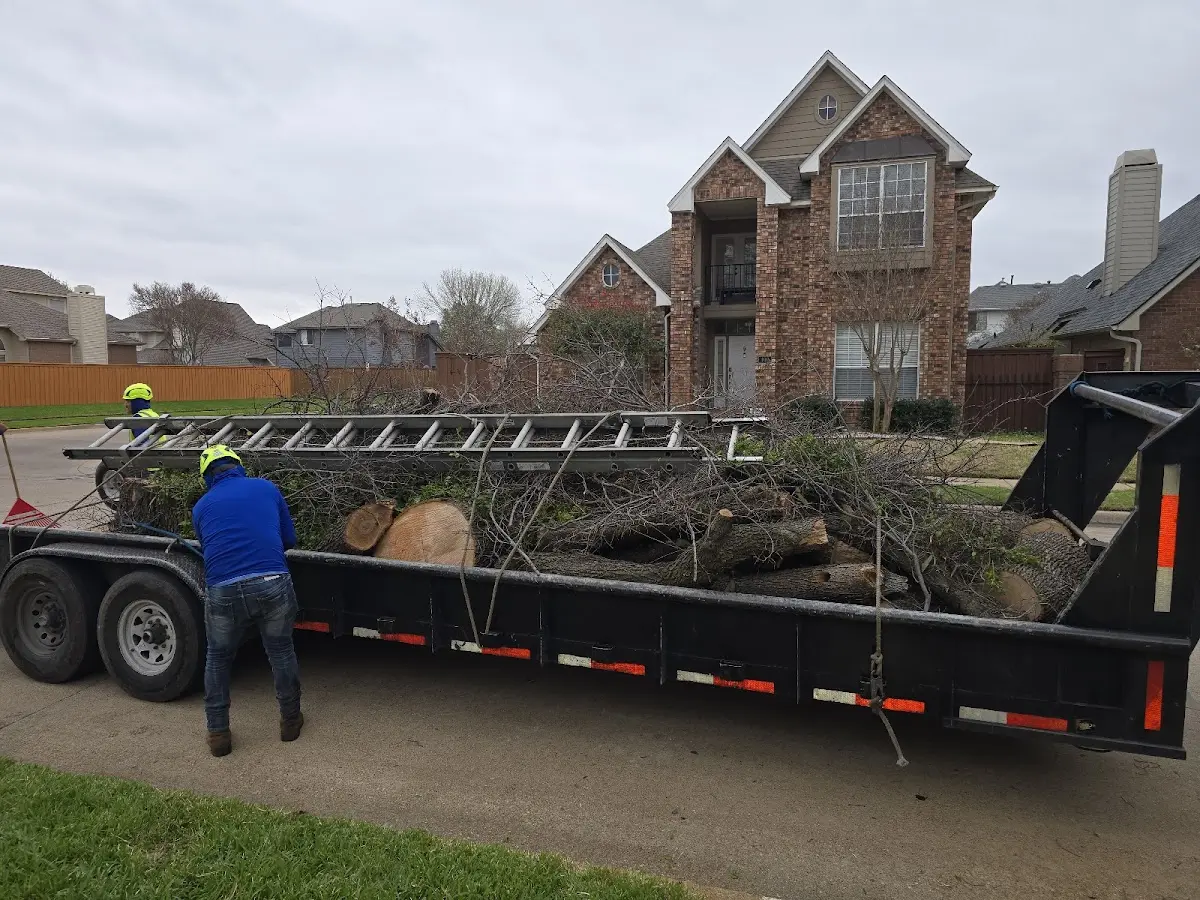 Expert Lot Clearing with proper safety equipment in Whick